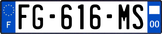 FG-616-MS
