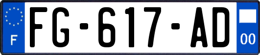 FG-617-AD