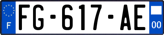 FG-617-AE