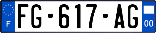 FG-617-AG