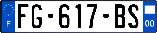 FG-617-BS