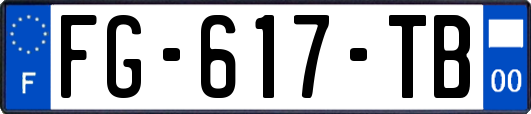 FG-617-TB
