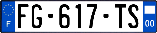 FG-617-TS