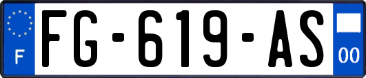 FG-619-AS