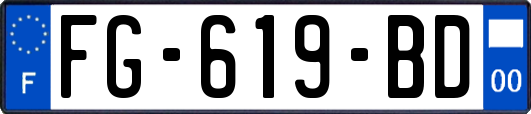 FG-619-BD