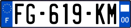 FG-619-KM
