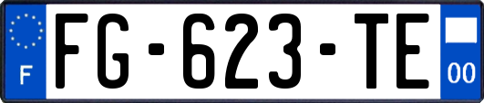 FG-623-TE
