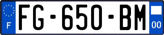 FG-650-BM