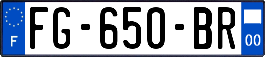 FG-650-BR