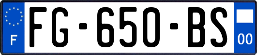 FG-650-BS