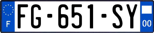 FG-651-SY