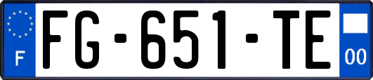 FG-651-TE