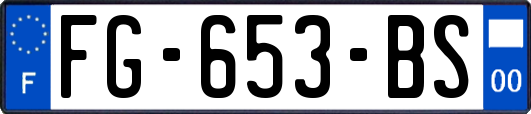FG-653-BS