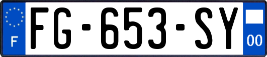 FG-653-SY