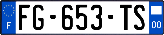 FG-653-TS