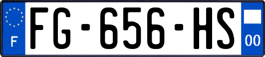 FG-656-HS