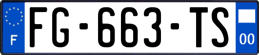 FG-663-TS