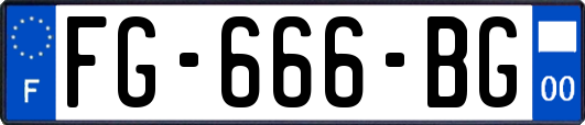 FG-666-BG