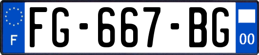 FG-667-BG