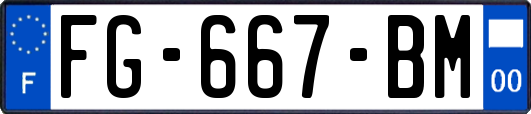 FG-667-BM