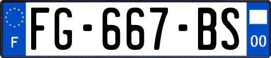 FG-667-BS