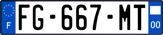 FG-667-MT