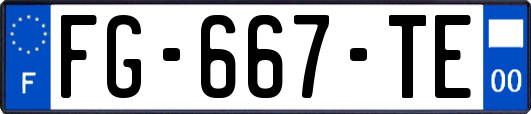 FG-667-TE
