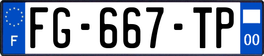 FG-667-TP
