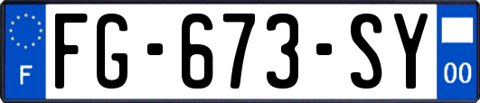 FG-673-SY