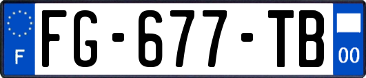 FG-677-TB