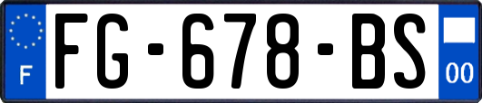 FG-678-BS