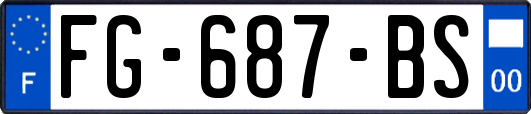 FG-687-BS