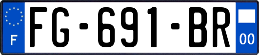 FG-691-BR