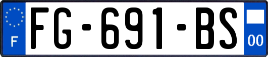 FG-691-BS