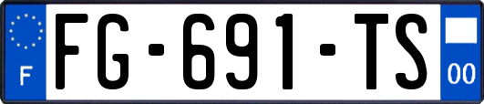 FG-691-TS