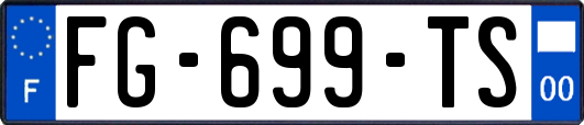 FG-699-TS