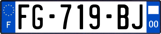 FG-719-BJ