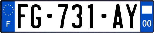 FG-731-AY