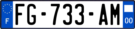 FG-733-AM