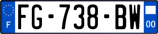 FG-738-BW