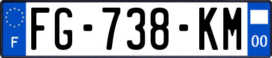 FG-738-KM