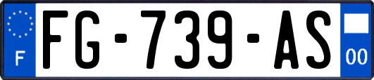 FG-739-AS