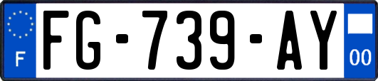 FG-739-AY