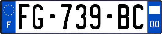 FG-739-BC