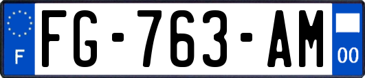 FG-763-AM