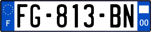 FG-813-BN