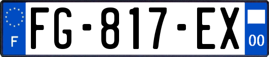 FG-817-EX