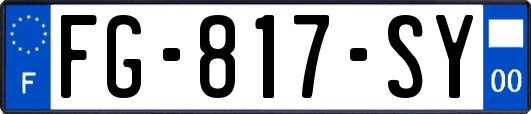 FG-817-SY