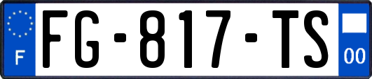 FG-817-TS