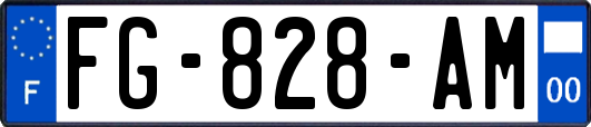 FG-828-AM